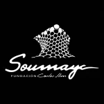 soumaya-museo-logo